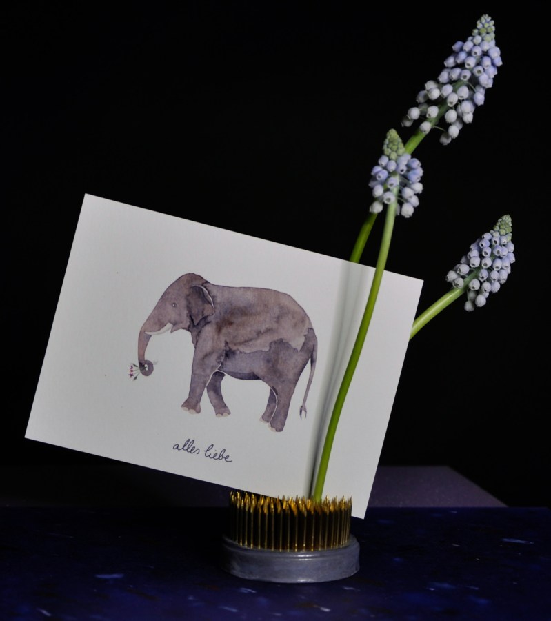 Blumengalerie-Shop-Grusskarten-Elefant-alles liebe.jpg